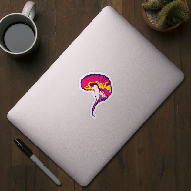 Brain with Brainstem in Vibrant Colors by VegShop